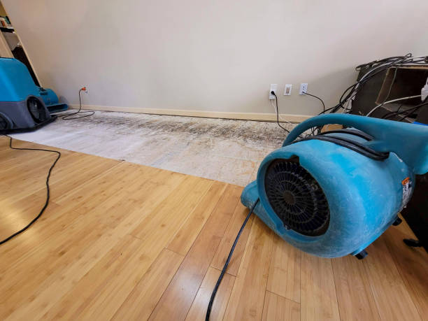 Professional Water Damage Repair technician working in Elgin, OH